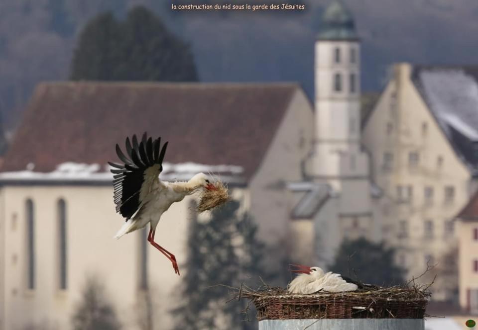 Отель Domaine De Mont-Renaud Boncourt Экстерьер фото